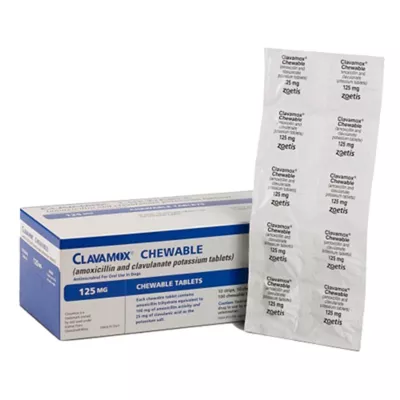 Product Clavamox - 62.5 mg, 125 mg, 250 mg, 375 mg - Single Chewable Tablet