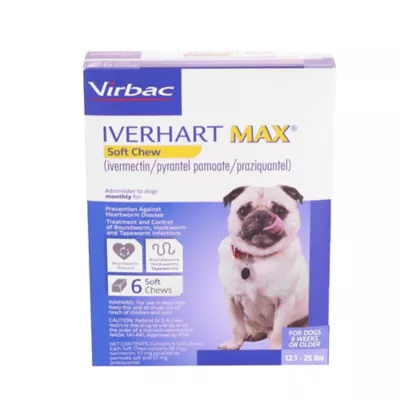 Product Iverhart Max Soft Chews 12.1-25 lbs Blue - 6 or 12 Month Supply