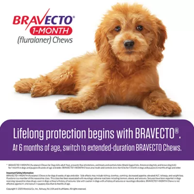 Product Bravecto Chewable Tablet - 1 Chewable 1 Month Acting