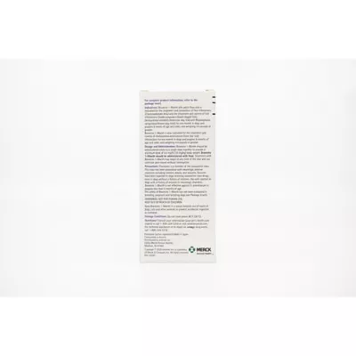 Product Bravecto Chewable Tablet - 1 Chewable 1 Month Acting