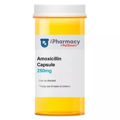 Product Amoxicillin - 250 mg, 500 mg - Single Capsule
