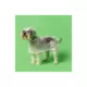 Product Fresh Pawz Quotation Dog Rain Jacket