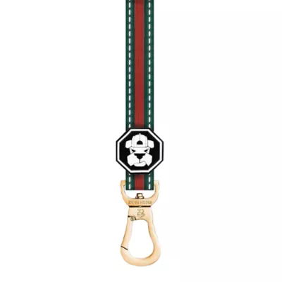 Product Fresh Pawz G-Stripe Dog Leash 5-ft long