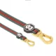Product Fresh Pawz G-Stripe Dog Leash 5-ft long
