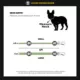 Product Fresh Pawz G-Stripe Dog Leash 5-ft long
