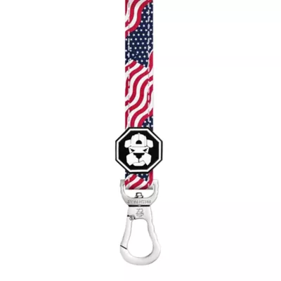 Product Fresh Pawz Patriot Dog Leash 5-ft long