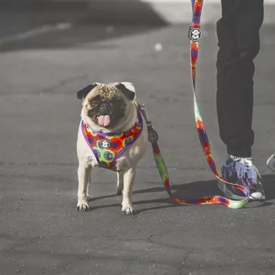 Product Fresh Pawz Tie Dye Adjustable Mesh Dog Harness