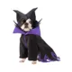 Product Rubie's Pet Shop Halloween Maleficent Dog & Cat Costume