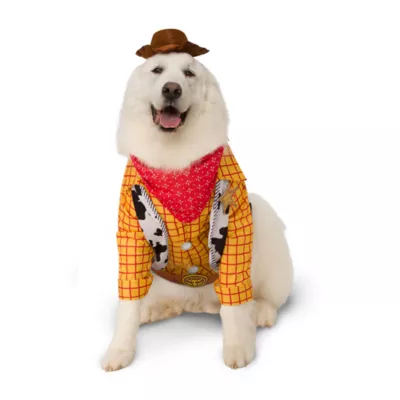 Product Rubie's Pet Shop Halloween Toy Story Woody Dog & Cat Costume