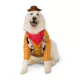 Product Rubie's Pet Shop Halloween Toy Story Woody Dog & Cat Costume