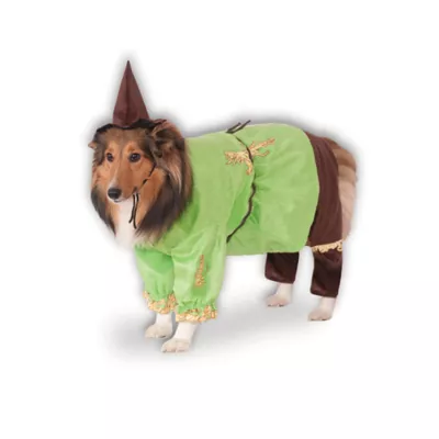 Product Rubie's Pet Shop Halloween Wizard of Oz Scarecrow Dog & Cat Costume