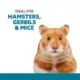 Product Full Cheeks™ Small Pet Adventure Exercise Ball - 7in