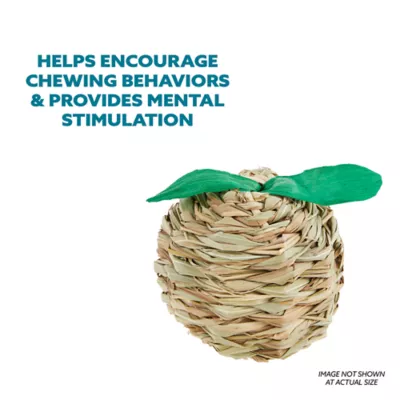 Product Full Cheeks™ Small Pet Woven Apple Shaped Chew