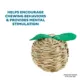 Product Full Cheeks™ Small Pet Woven Apple Shaped Chew