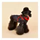 Product Puppia® Mountaineer II Dog Harness Coat