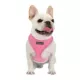 Product Puppia® Soft Over-the-Head with Reflective Straps Pro Dog Harness