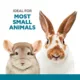 Product Full Cheeks™ Small PetGravity Water Dish