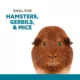 Product Full Cheeks™ Small Pet 3-in-1 Space Saver Food & Water Dispenser