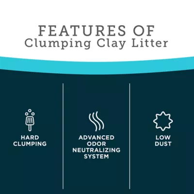 Product ExquisiCat Litter Premium Clumping Multi-Cat Clay Cat Litter - Unscented, Low Dust