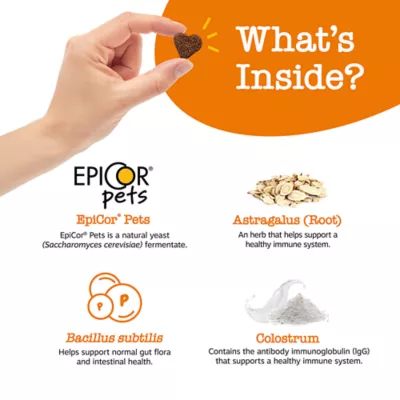 Product Zesty Paws Immune Chews for Dogs