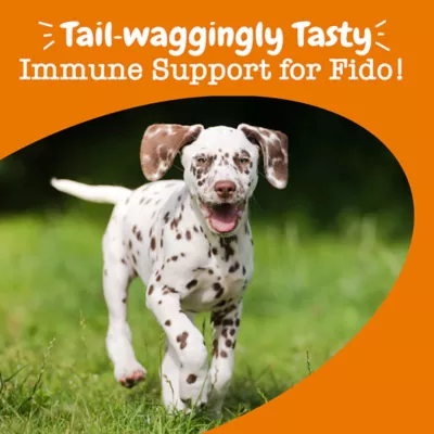 Product Zesty Paws Immune Chews for Dogs