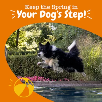 Product Zesty Paws Mobiility Chews for Dogs