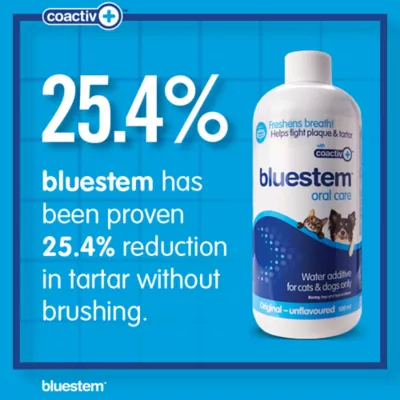 Product bluestem® Oral Care Water Additive for Dogs