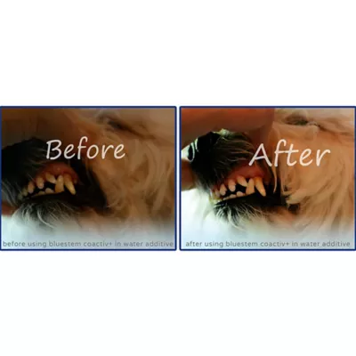 Product bluestem® Oral Care Water Additive for Dogs