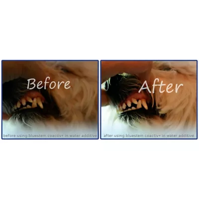 Product bluestem® Oral Care Water Additive for Dogs - Chicken