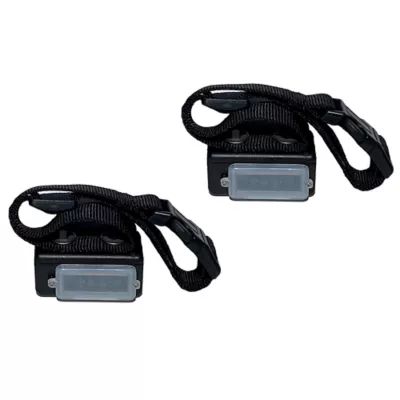 Product High Tech Pet® Express Train Electronic Radio Dog Training Collar - 2 Collars