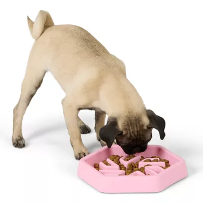 Product Top Paw® Puzzle Slow Feeder Dog Bowl
