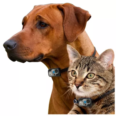 Product High Tech Pet® WiFi Enabled Smartphone Controlled Automatic Dog & Cat Door & Wall Installation Kit