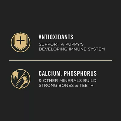 Product Purina Pro Plan Development Puppy Dry Dog Food - Lamb & Rice