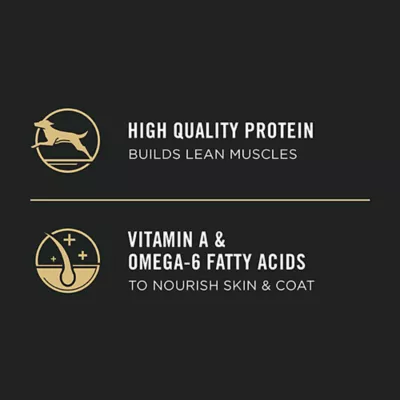 Product Purina Pro Plan Development Puppy Dry Dog Food - Lamb & Rice