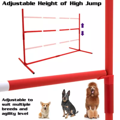 Product Sport Pet 6-Piece Large Agility Kit