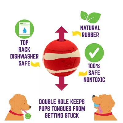 Product Sport Pet Chew King 4-Pack Fetch Gift Box for Dogs
