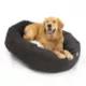 Product Majestic Pet Personalized Velvet Sherpa Bagel Cat & Dog Bed
