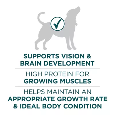 Product Purina ONE® +Plus Large Breed Puppy Dog Dry Food - Chicken, High-Protein, Antioxidants