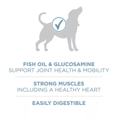 Product Purina ONE® +Plus Adult Dog Dry Food - Chicken, No Artificial Colors, No Artificial Flavors