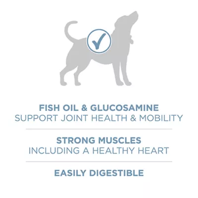Product Purina ONE® +Plus Adult Dog Dry Food - Chicken, No Artificial Colors, No Artificial Flavors