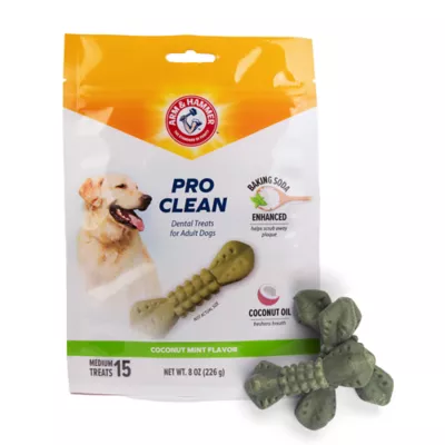 Product Arm & Hammer Pro Clean Dental Kit