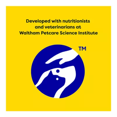 Product Temptations™ Creamy Purée Lickable Adult Cat Treats - Chicken