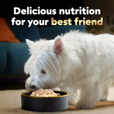 Product Cesar® Wholesome Bowls All Life Stage Wet Dog Food & Meal Topper - 3 Oz.