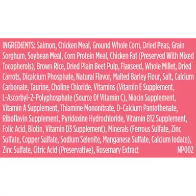 Product Rachael Ray Nutrish Whole Health Blend Adult Dry Dog Food - Salmon, Veggies & Brown Rice