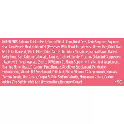 Product Rachael Ray Nutrish Whole Health Blend Adult Dry Dog Food - Salmon, Veggies & Brown Rice