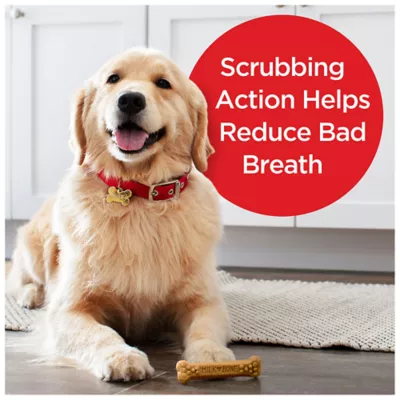 Product Milk-Bone Brushing Chews Large All Life Stage Dog Treat - Original
