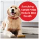 Product Milk-Bone Brushing Chews Large All Life Stage Dog Treat - Original