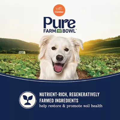 Product Canidae® Pure™ Adult Dry Dog Food - Limited Ingredient Diet, With-Grain, Bison & Barley