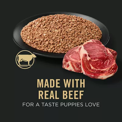Product Purina Pro Plan Sport High Protein Puppy Wet Dog Food - Beef & Rice, 13 oz