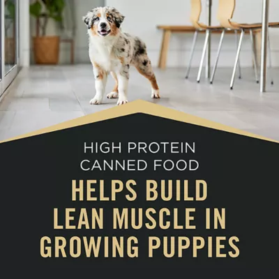 Product Purina Pro Plan Sport High Protein Puppy Wet Dog Food - Beef & Rice, 13 oz